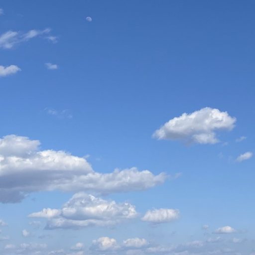 OLAPLEX⭐️シャンプーを買えるってホント？😮どこで売ってる？😕 憧れ美容室TRICCA｜LOA THE OIL｜E STANDARD｜X TREATMENT｜LebeL｜